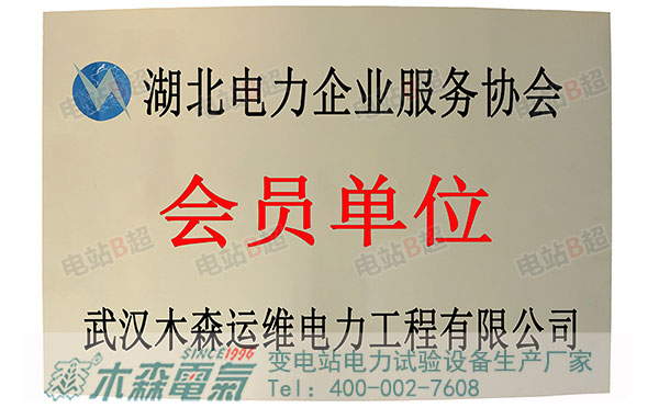 木森電氣入駐湖北電力企業(yè)服務(wù)協(xié)會會員單位